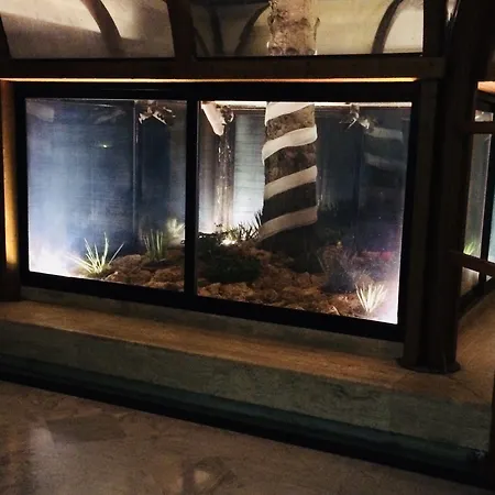 Hotel San Nicola 3*